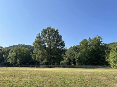 /international/us/lot-14-river-view-loop-heber-springs-ar-110101233429/?lang=es