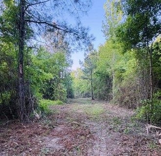 /international/us/darron-hodge-ln-poplarville-ms-110109121004/
