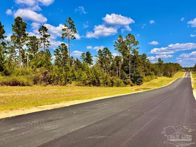 /international/us/morgans-branch-lot-3-molino-fl-110102662395/