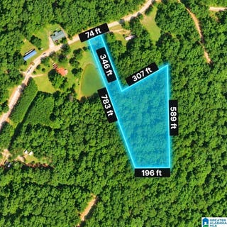 /international/us/lee-road-1-lot-0-notasulga-al-110120450243/