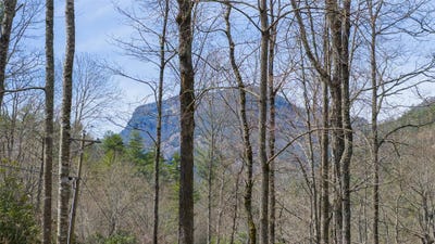 /international/us/saratay-falls-drive-lot-17-cashiers-nc-110107074219/