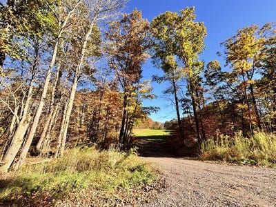 /international/us/mountain-rd-meyersdale-pa-110120655371/