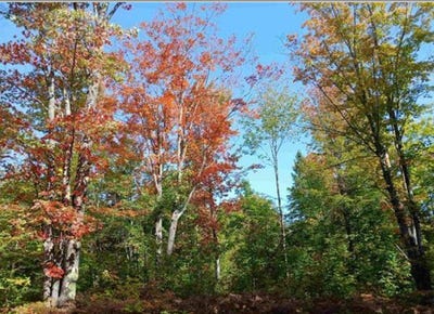 /international/us/tbd-baltic-onkalos-corner-road-south-range-mi-110104578000/