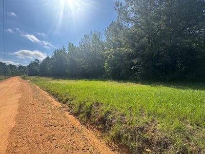 /international/us/lewis-drive-lot-11-georgetown-ga-110108338252/