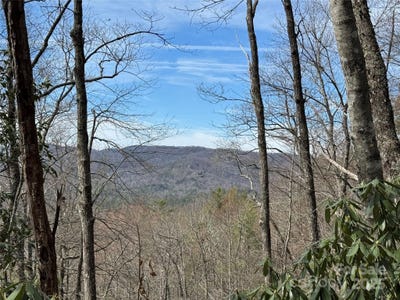 /international/us/l2-windy-gap-lane-sapphire-nc-110098400750/