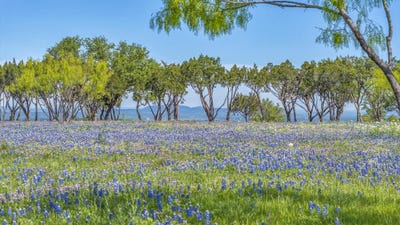 /international/us/3531-rr-3347-road-round-mountain-tx-110100308034/