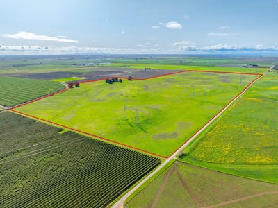 /international/us/tbd-road-48-road-b-willows-ca-110098650611/