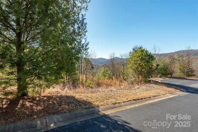 /international/us/99999-woodhen-way-138-139-horse-shoe-nc-110097466472/