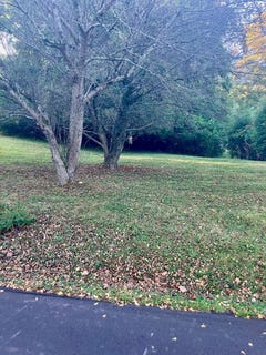 /international/us/cliff-view-st-bluefield-va-110102191552/