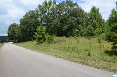 /international/us/2505-old-downing-mill-road-anniston-al-110101171076/