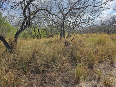 /international/us/23354-county-road-1038-lot-0-mathis-tx-110105078775/