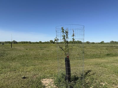 /international/us/tbd-lot-3-wild-west-place-belle-fourche-sd-110099105167/