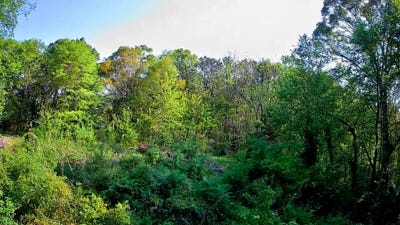 /international/us/walnut-street-lafayette-ga-110107193011/