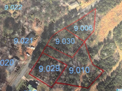 /international/us/rivers-edge-trail-lot-1-2-3-5-cordova-al-110108573344/