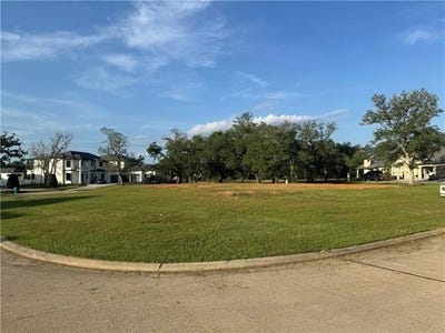 /international/us/24100-snowy-egret-cove-lot-160-springfield-la-110100719786/