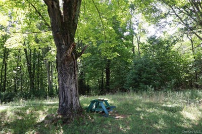 /international/us/peeble-lane-wurtsboro-ny-110119641388/