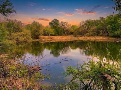 /international/us/1039-creek-crossing-road-nemo-tx-110107419147/