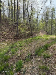 /international/us/0-pine-mountain-road-rogersville-tn-110101479433/?lang=zh-tw