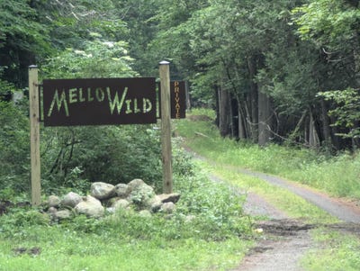 /international/us/mellow-way-lot-8-wilmington-ny-110107687033/