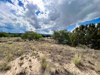 /international/us/vicinity-county-rd-142-medanales-nm-110089559341/