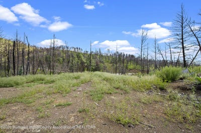 /international/us/111-tall-pines-road-lot-9-ruidoso-nm-110110334381/