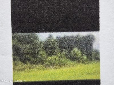 /international/us/n-creek-drive-brandon-ms-110108347777/