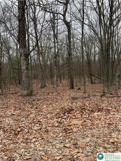 /international/us/129-fall-court-unit-58-pike-pa-110100705534/