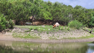 /international/us/110-longhorn-ln-dripping-springs-tx-110109161821/