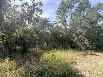 /international/us/5066-e-anna-jo-drive-inverness-fl-110120129400/