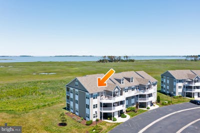 /international/us/37456-pettinaro-drive-ocean-view-de-110108389846/