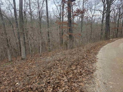/international/us/l4-b2-bald-eagle-trail-ozark-acres-ar-110106326612/