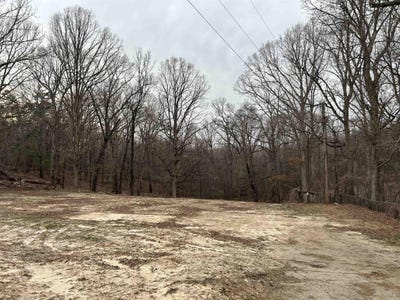 /international/us/123-county-road-381-wynne-ar-110106059790/