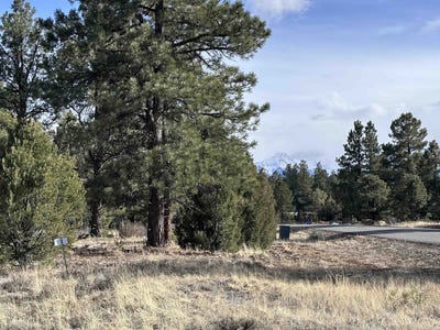 /international/us/1960-marmot-drive-ridgway-co-110097929903/