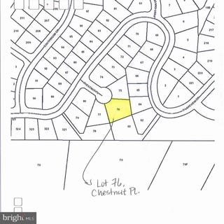 /international/us/lot-76-chestnut-place-cross-junction-va-110100218981/?lang=zh-tw
