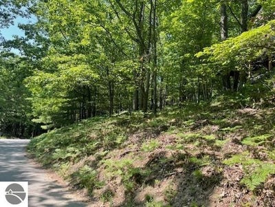/international/us/17-loggers-run-subdivision-glen-arbor-mi-110100570519/?lang=zh-cn
