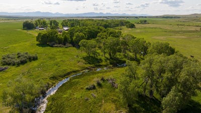 /international/us/choteau-mt-110100470418/