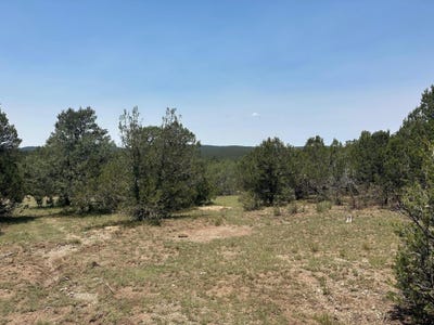 /international/us/of-hwy-217-tijeras-nm-110101474058/?lang=zh-cn