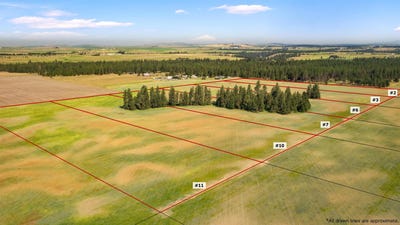 /international/us/tbd-s-christensen-rd-medical-lake-wa-110099908372/