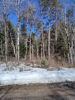 /international/us/lake-lodge-drive-lot-2-cable-wi-110106674072/