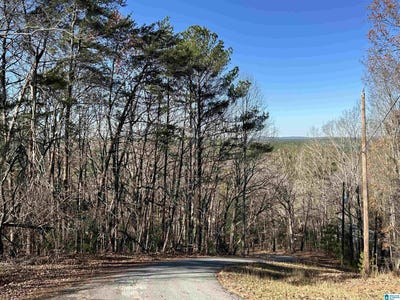 /international/us/111-n-highland-drive-lot-11-columbiana-al-110104297303/