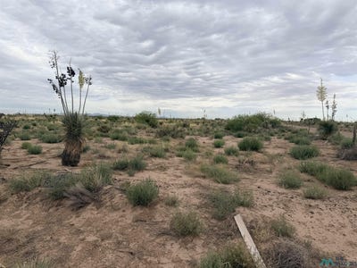 /international/us/hondale-rd-sw-deming-nm-110108575957/