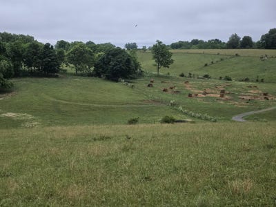 /international/us/4430-state-hwy-1194-stanford-ky-110108257621/