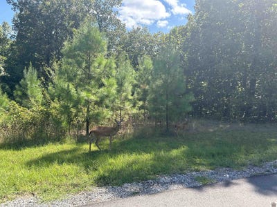 /international/us/140-centerview-rd-murray-ky-110097850349/?lang=zh-tw