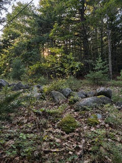 /international/us/m10-l23-1-blackswoods-road-franklin-me-110110259024/