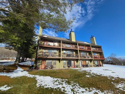 /international/us/16-grizzly-way-davis-wv-110104276298/