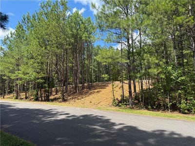 /international/us/16-wildberry-path-taylorsville-ga-110101176502/