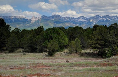 /international/us/ponderosa-drive-ridgway-co-110104542848/