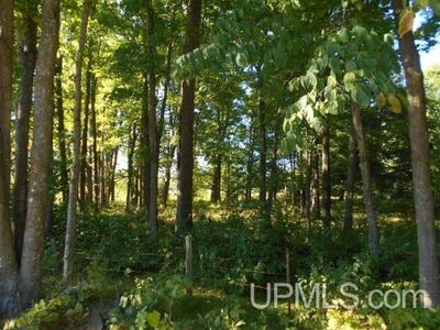 /international/us/fire-lake-road-crystal-falls-mi-110102502254/