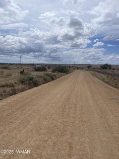 /international/us/19-county-road-6012-st-johns-az-110101681927/