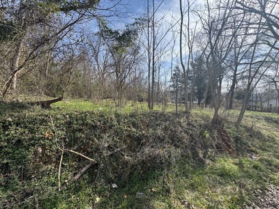 /international/us/203-peter-street-lot-10454-washington-ga-110107934588/